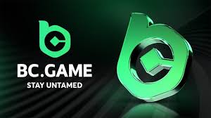 Experience Thrilling Gaming at BC Game Casino Japan
