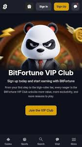 Canada Player Overview Exploring Bitfortune VIP Features Canada Player Overview Exploring Bitfortune VIP Features