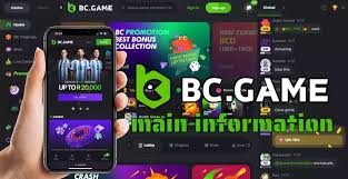 Unlocking the Excitement BC.Game Casino and Sportsbook Review